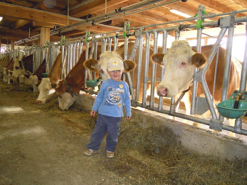 Ferienhaus Resinger Matrei in Osttirol Exteriör bild